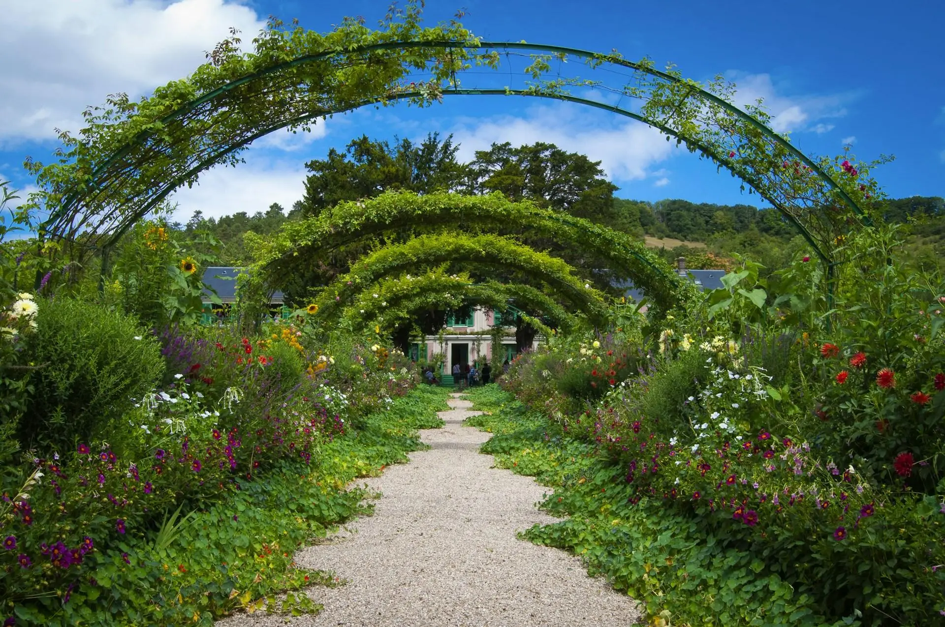 Featured image for the post titled How to build a garden pergola: A DIY guide