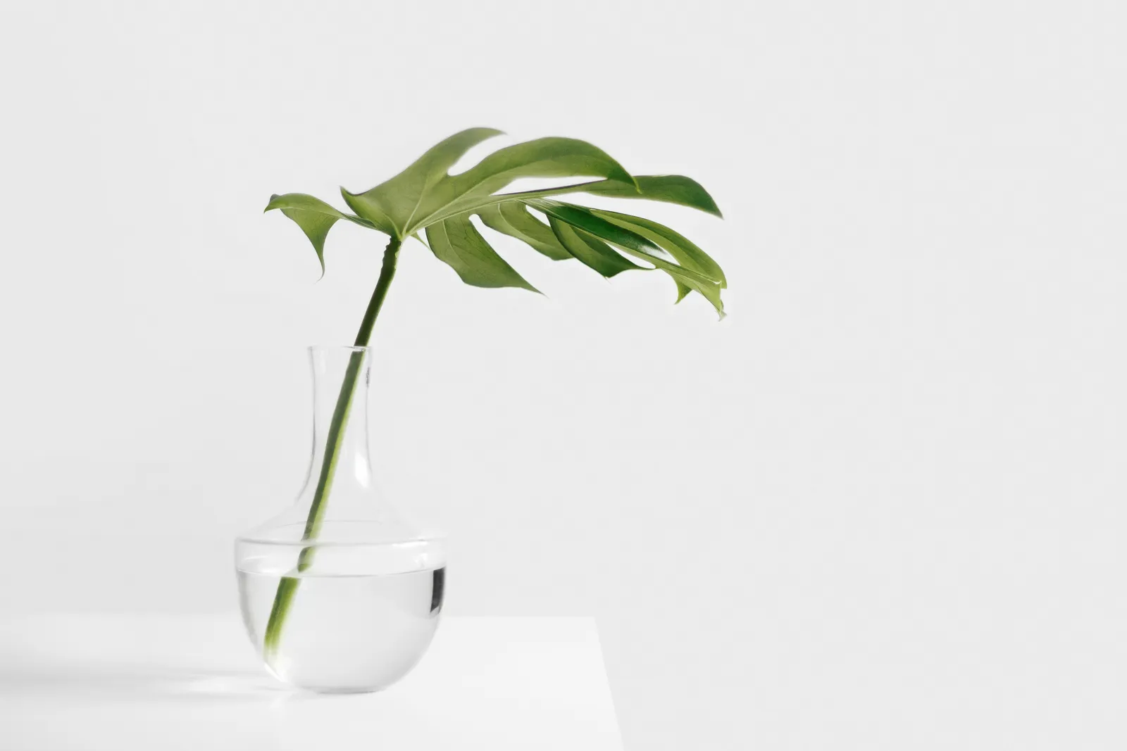Minimalism in Interiors – How to create simple, functional spaces?